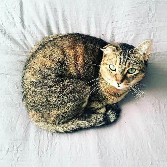 Our Lucy