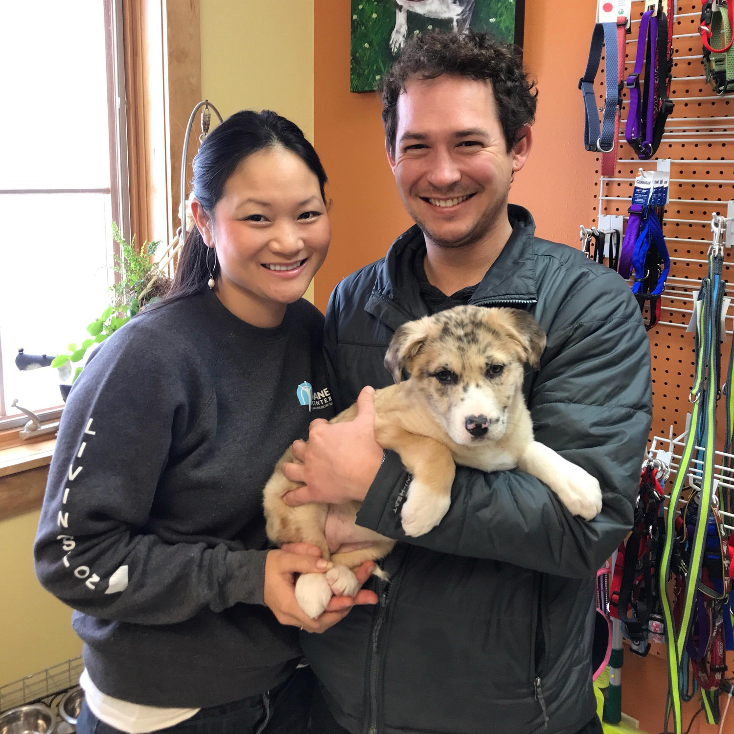 Our newest addition to the family. Kismet - adopted on the same day Erika was adopted 12.21. Our little fur baby (By our wedding she will be just over 7 months old!