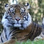 Point Defiance Zoo & Aquarium
