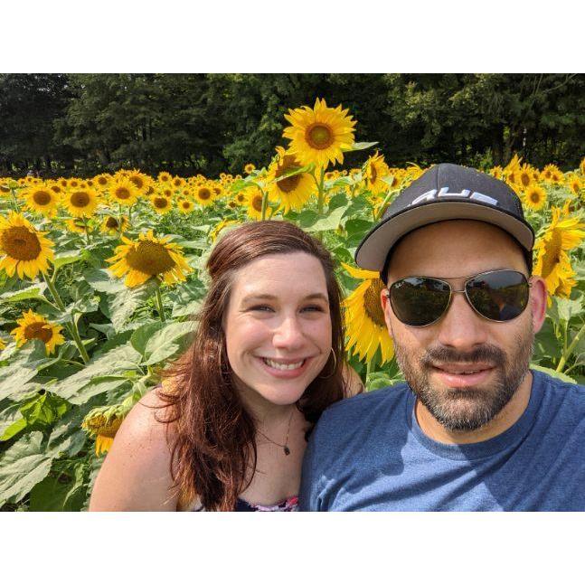 Sunflower Fest - Lee, NH