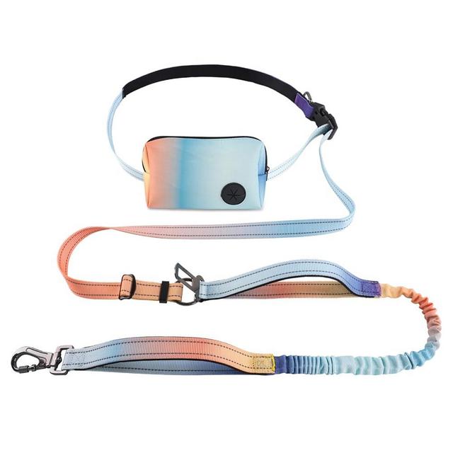 Roses&Poetry Hands Free Dog Leash with Zipper Pouch, 6-9ft Bungee Waist Leash for Medium Large Dogs Walking, Running Lead with Dual Padded Handles Car Safety Buckle for Training Jogging