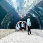 The Dallas World Aquarium