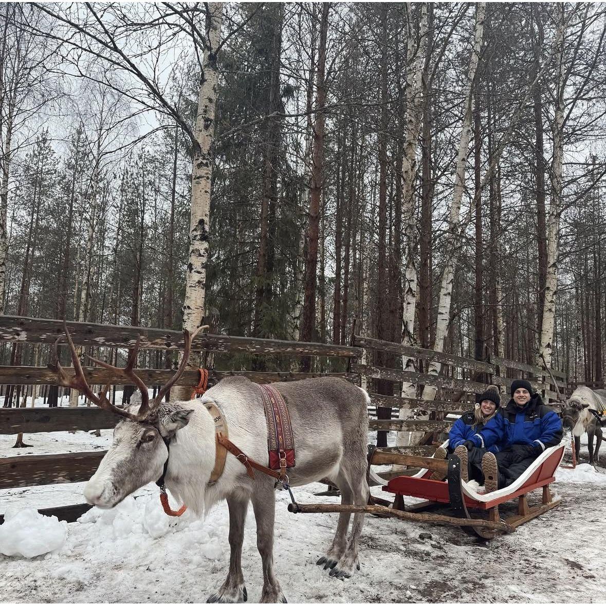 A little reindeer sleigh ride in Finland