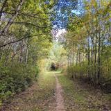 Brown's Creek State Trail