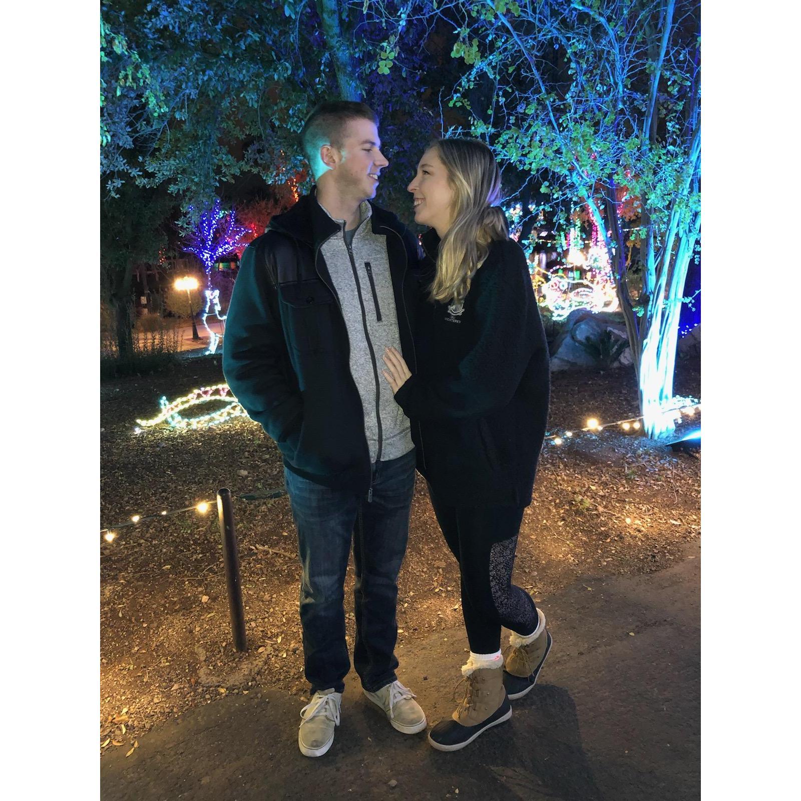 Zoo lights, Phoenix, AZ 2020
