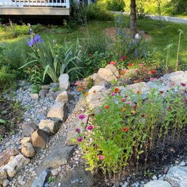 Our Garden Fund