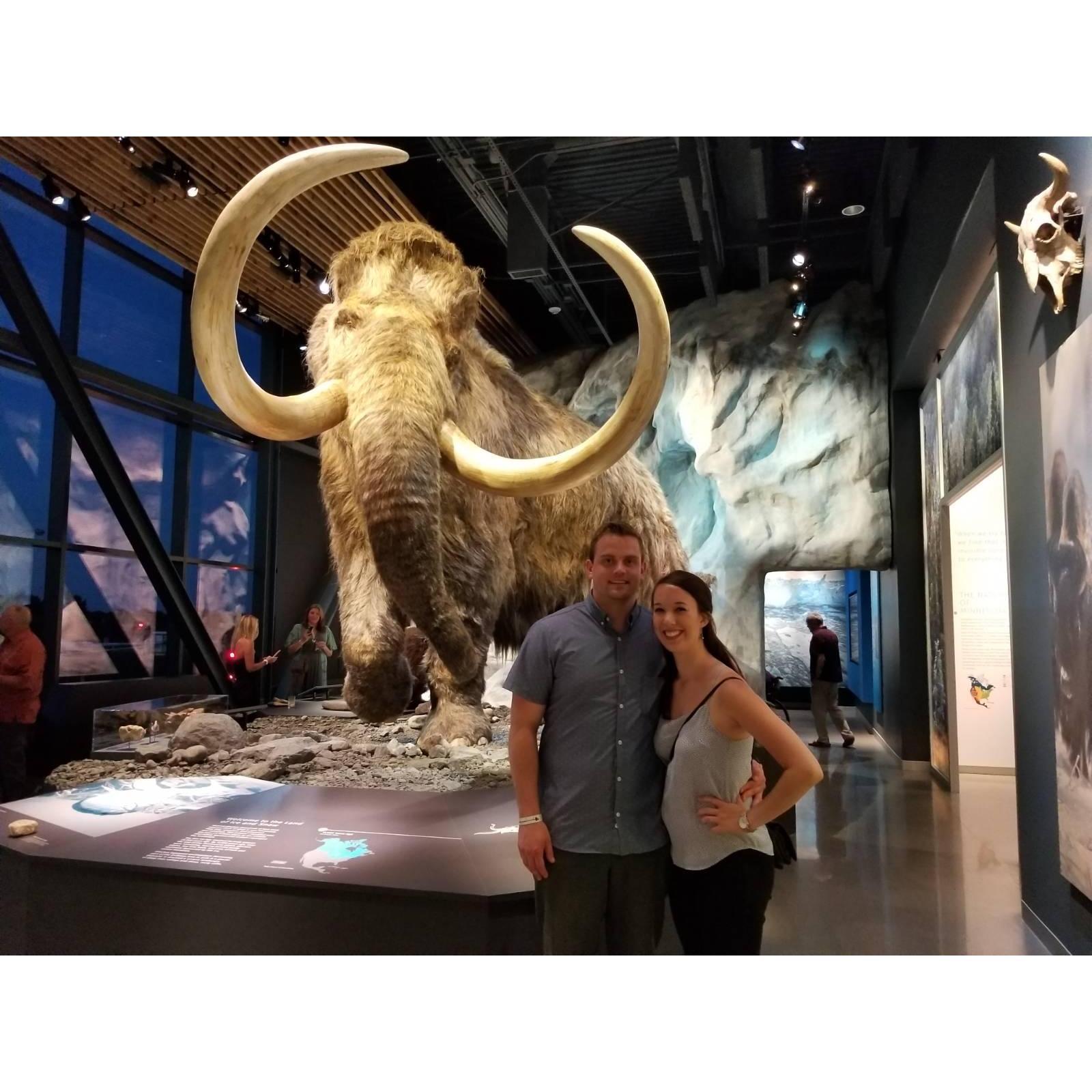 Re-opening of the Bell Museum