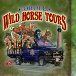 Corolla Wild Horse Tours