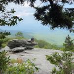 Beacon Heights Overlook Trail
