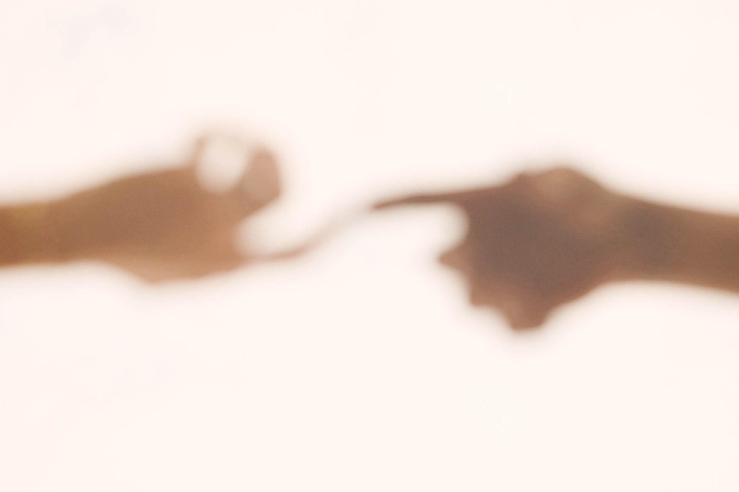 The Wedding Website of Teyle Olsen and Noah Olsen
