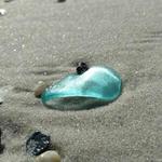 Sea Glass Hunting