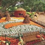 The Dallas Arboretum and Botanical Garden