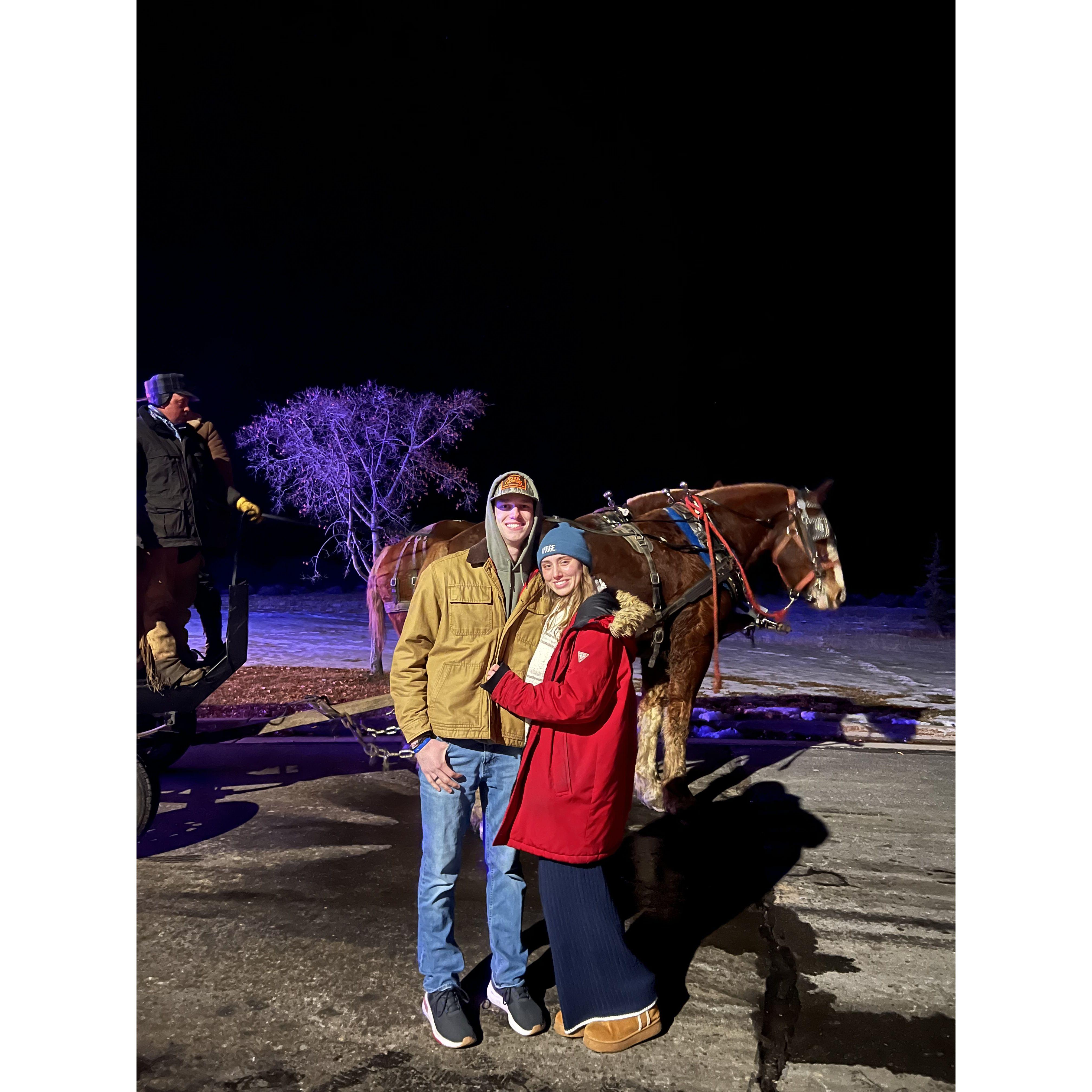 Riding on a horse drawn carriage through a light show