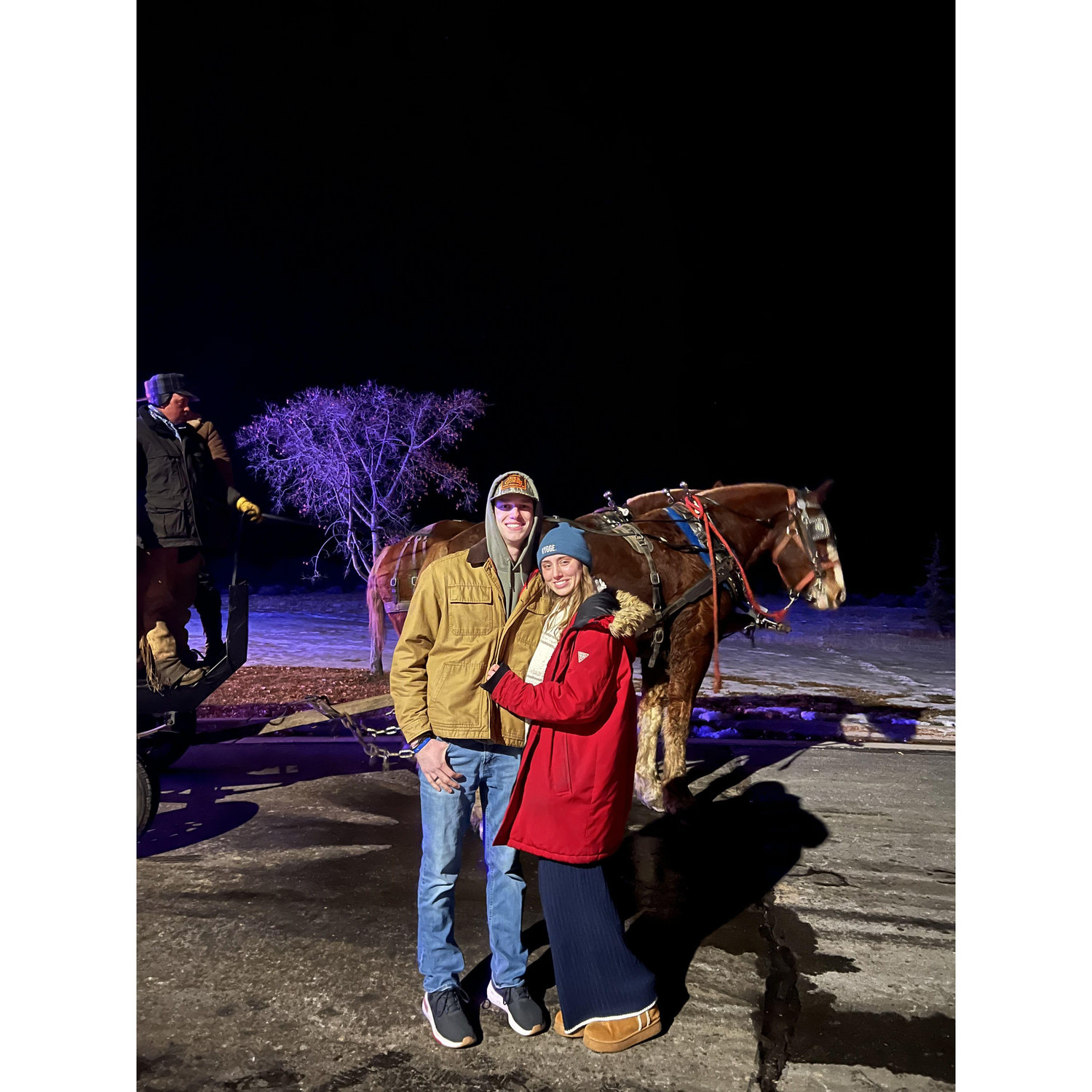 Riding on a horse drawn carriage through a light show