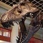 The Academy of Natural Sciences of Drexel University