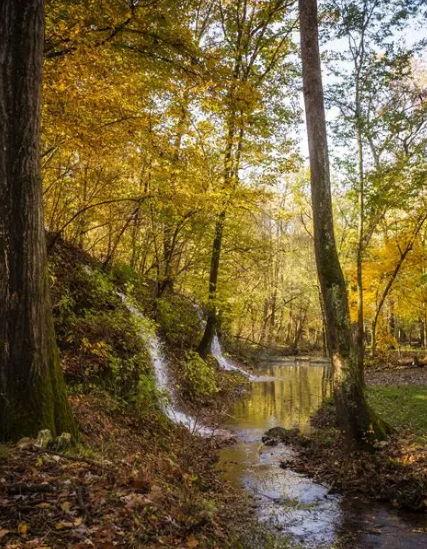 The Wedding Website of Madeline Maddox and Braydon Maddox