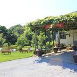 Pugliese Vineyards