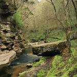 Raven Run Nature Sanctuary