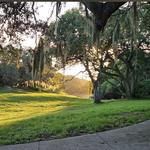 Cliff Stephens Park
