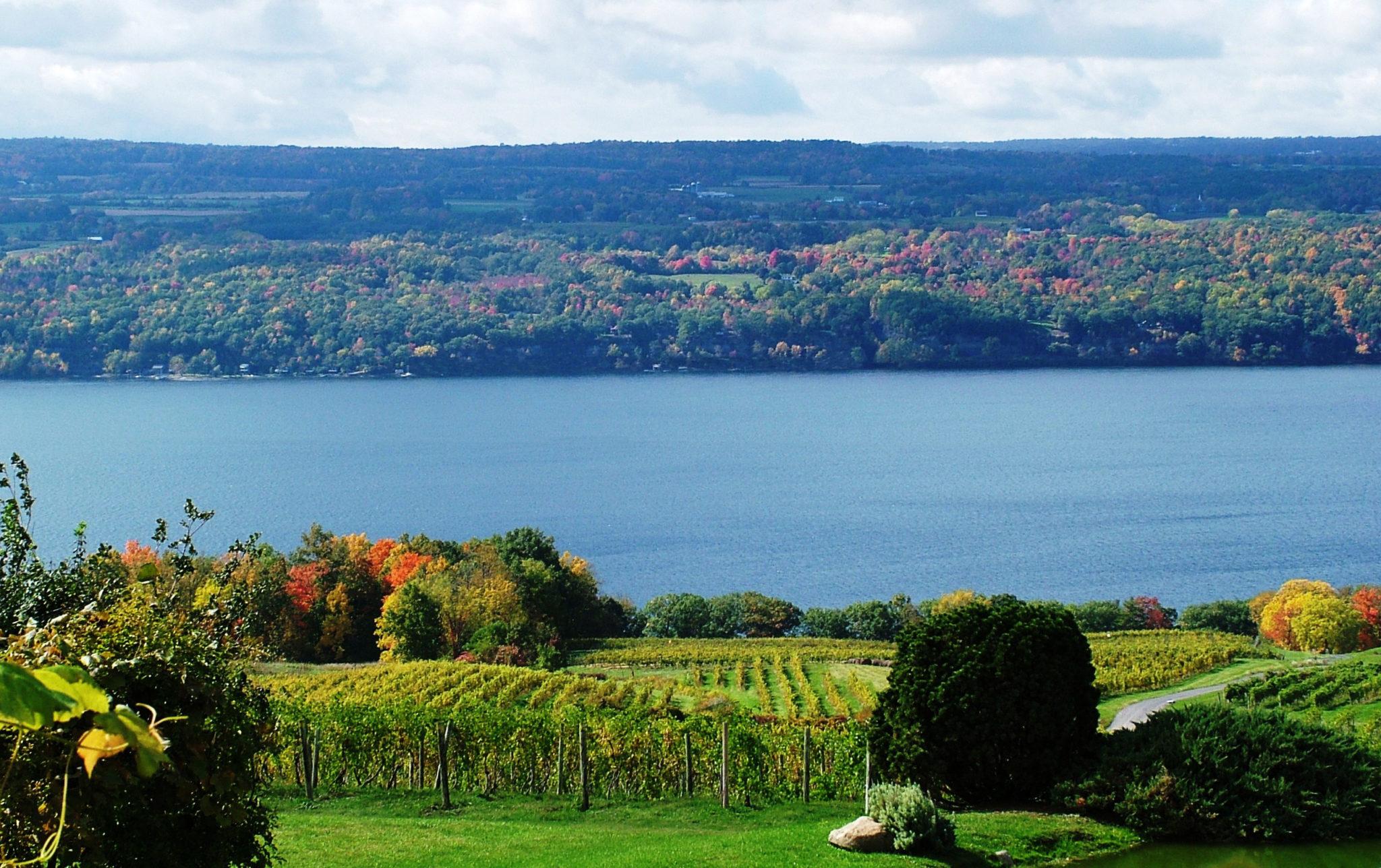The Wedding Website of Jacob Bertani and Natalie LaVigne