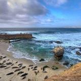 Children's Pool La Jolla