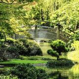 Fort Worth Botanic Garden