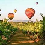 A Grape Escape Balloon Adventure