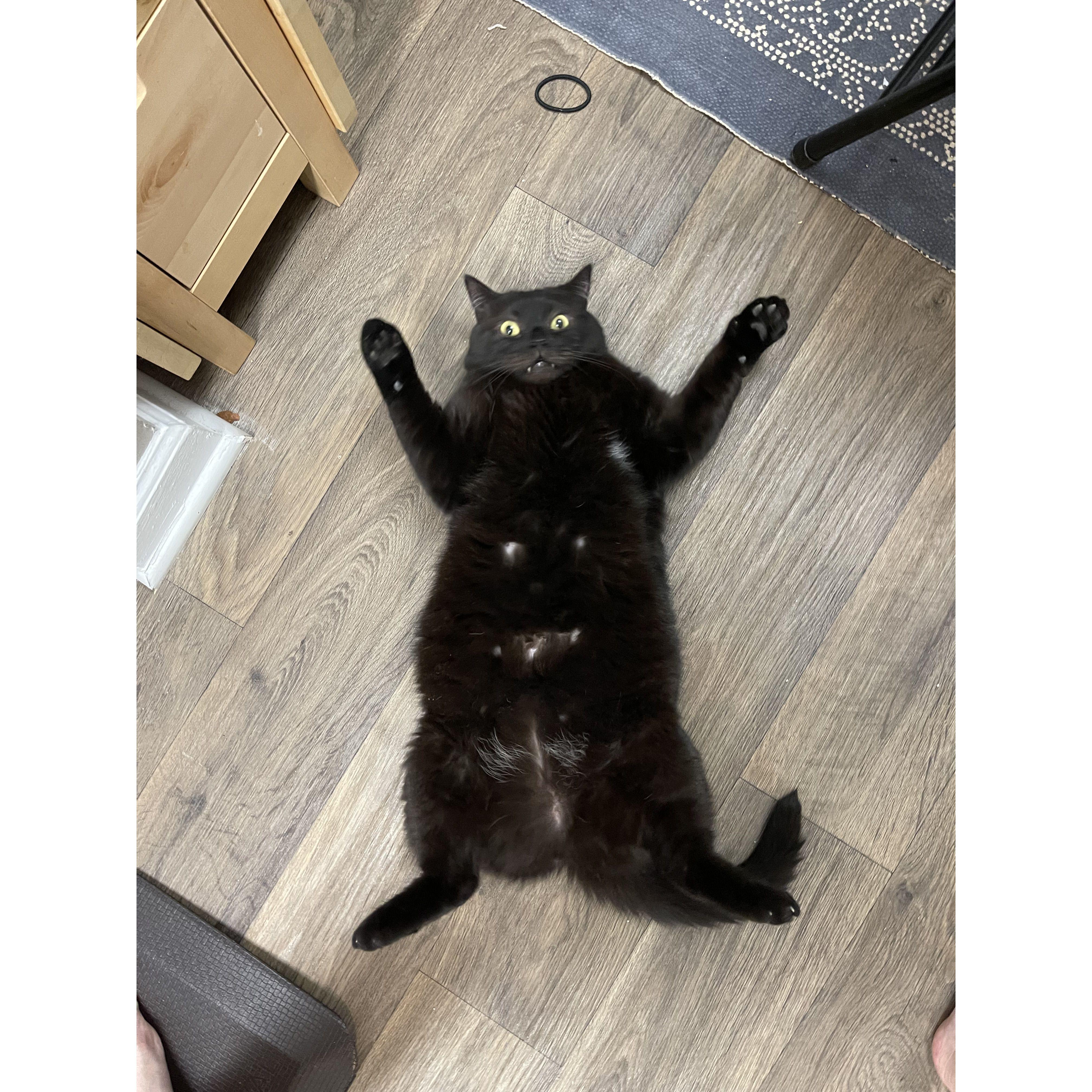 Ouija, our son.