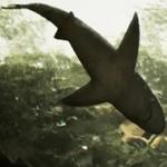 The Dallas World Aquarium