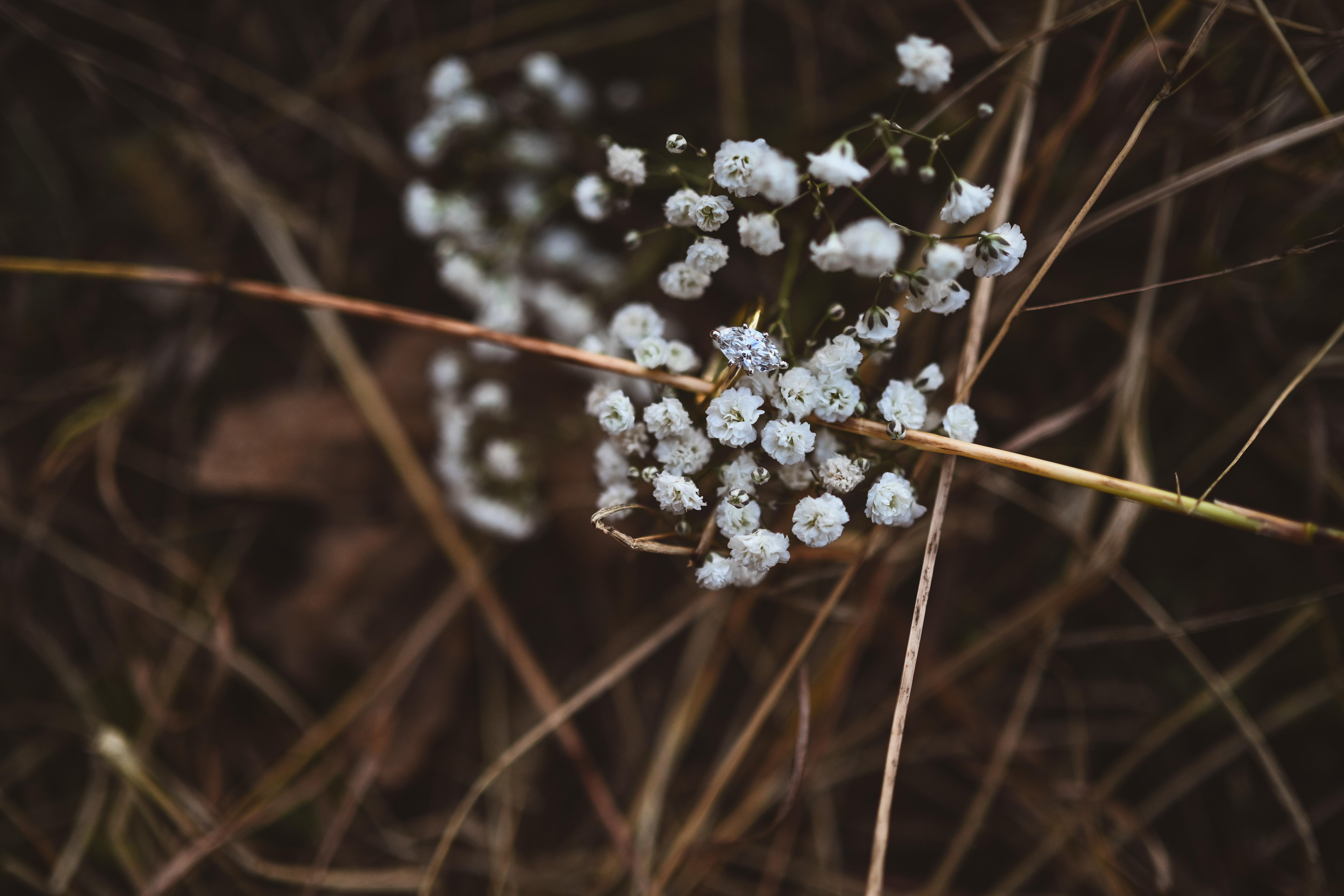 The Wedding Website of Madison Panning and Evan Mahl