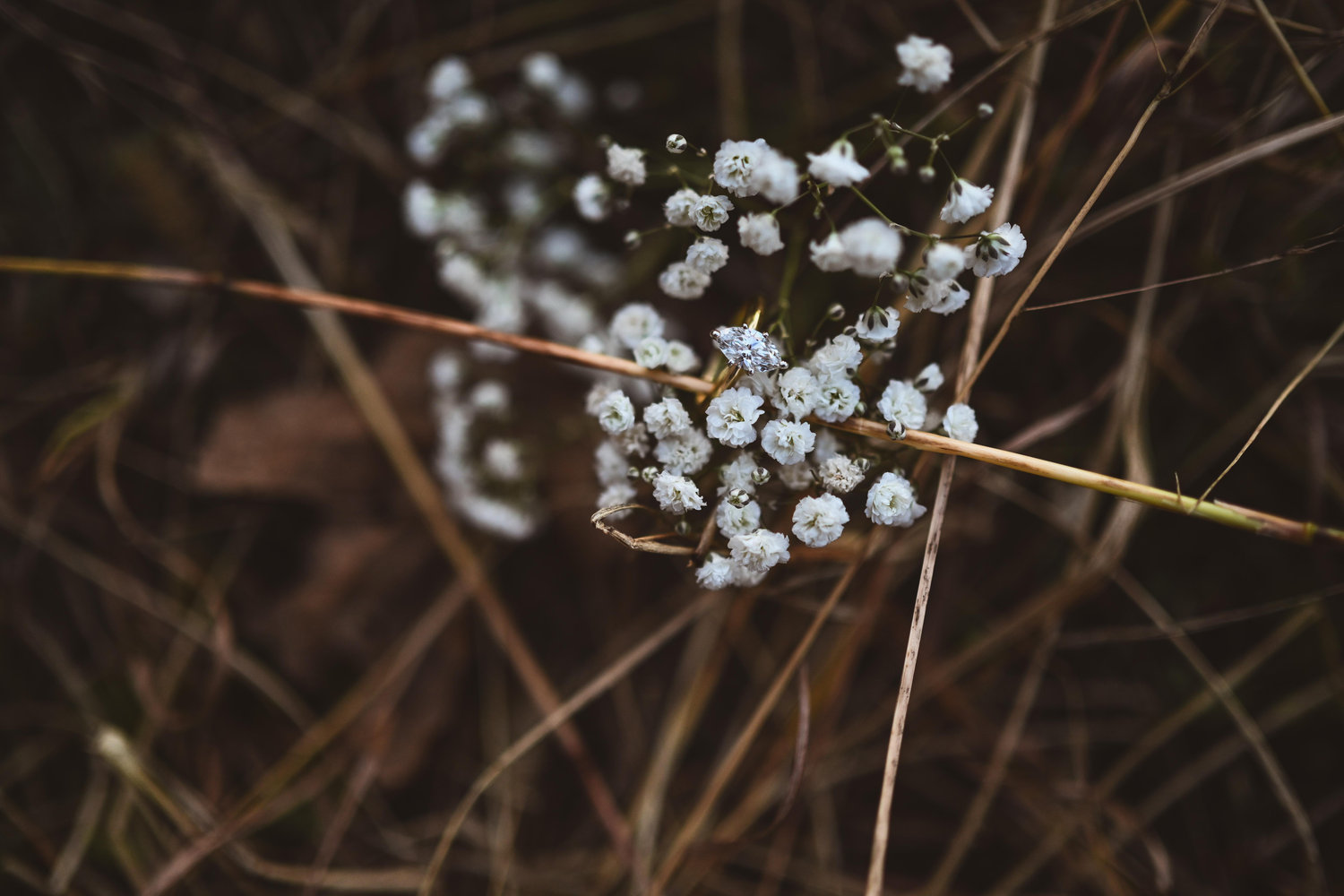 The Wedding Website of Madison Panning and Evan Mahl