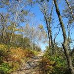 Big Pocono State Park
