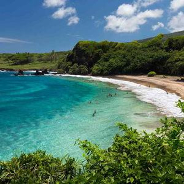 Honeymoon Resort in Maui!