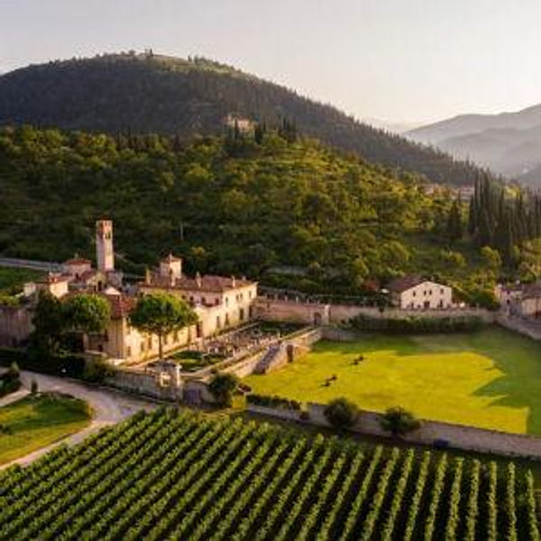 Allegrini Wine Tour & Case of Valpolicella