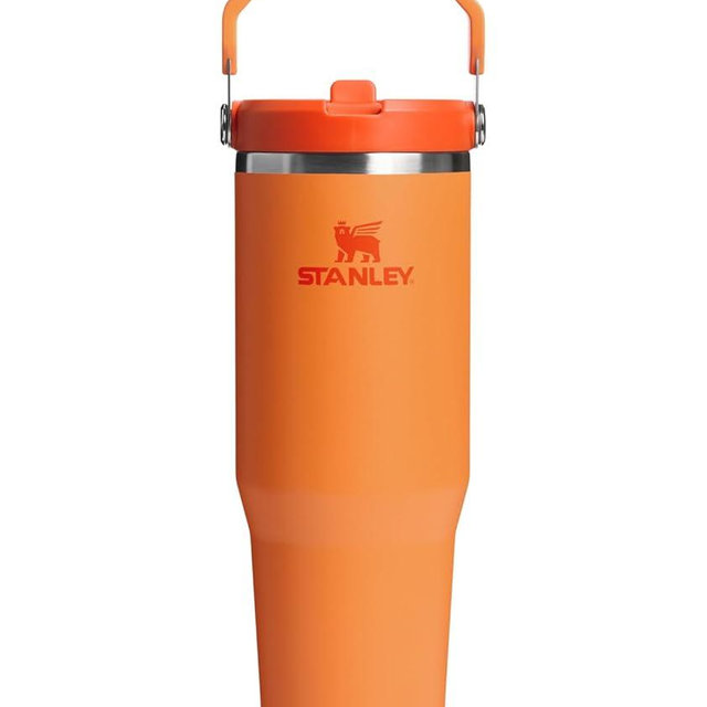 Stanley IceFlow 2.0 Flip Straw Tumbler with Handle 30 oz | Twist On Lid and Flip Up Straw | Leak Resistant Water Bottle | Insulated Stainless Steel | BPA-Free | Goldenrod Coral