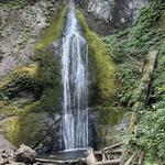 Marymere Falls Trail