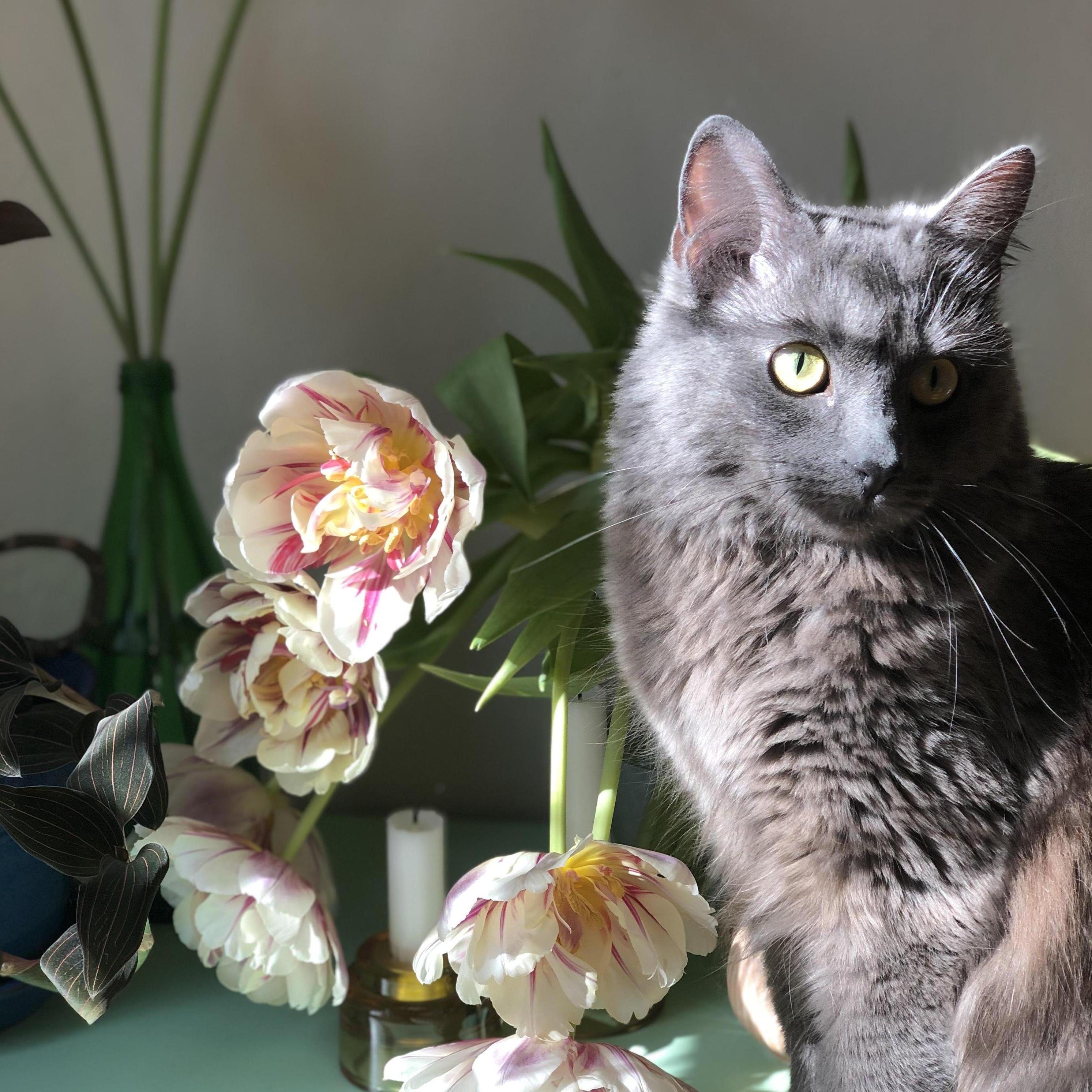 Fran! Flower girl