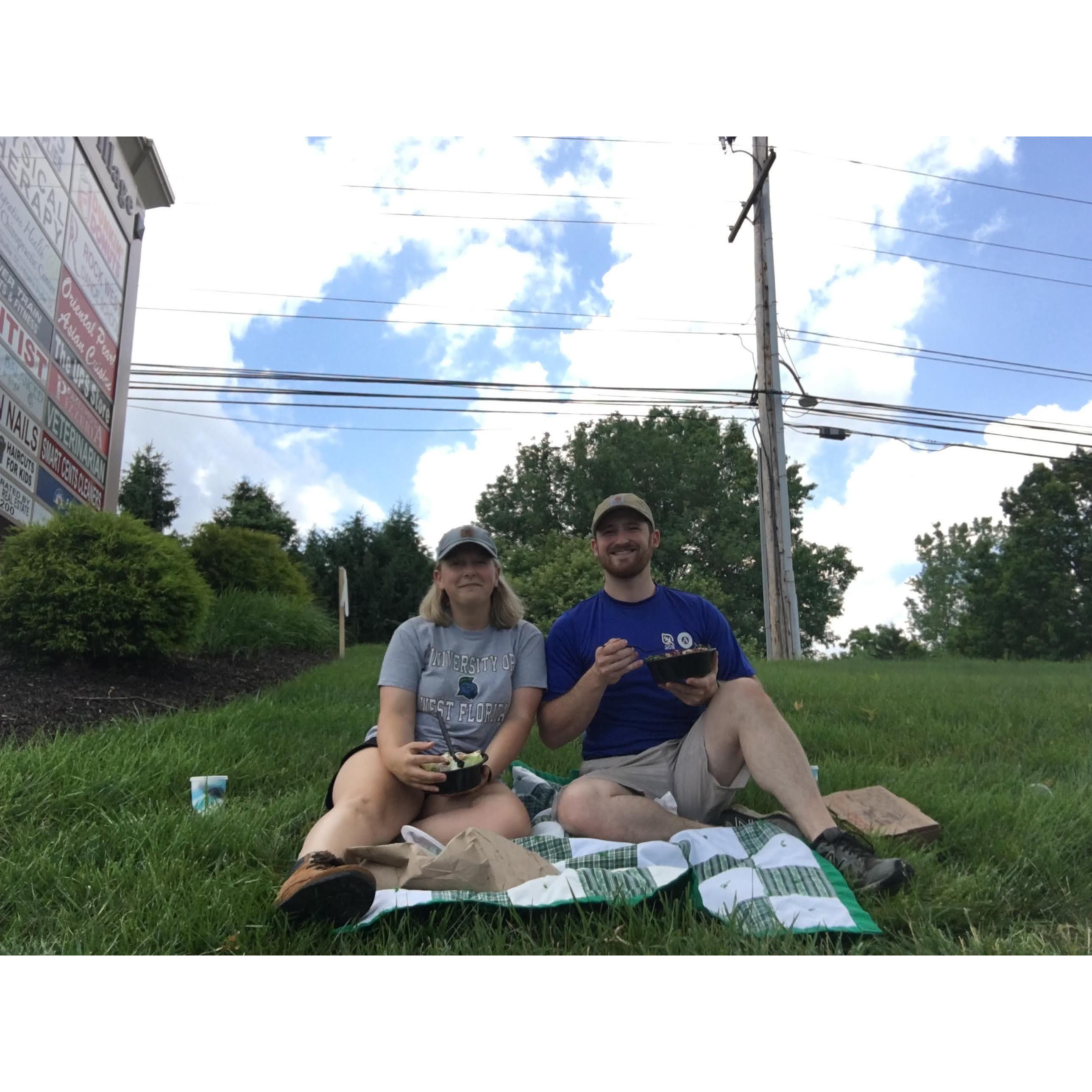 Picnic in Pennsylvania (June 2020)
