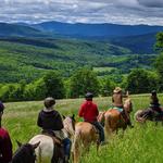 Mountain Brook Farm