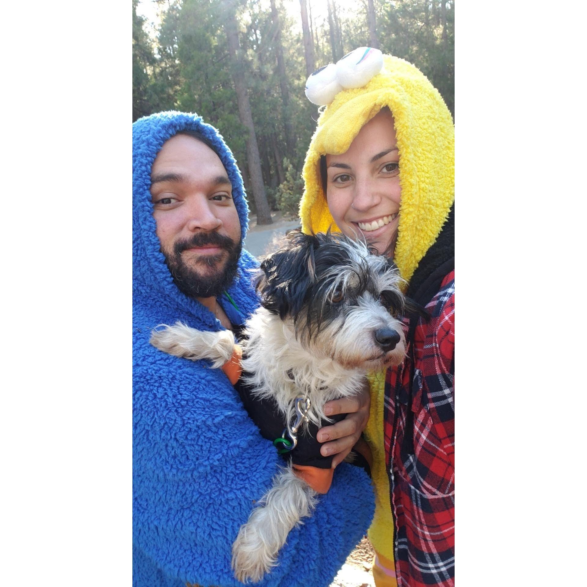 Camping with our little monster. 2020