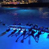 Manta Ray Night Snorkel Tours