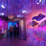 Meow Wolf Denver | Convergence Station