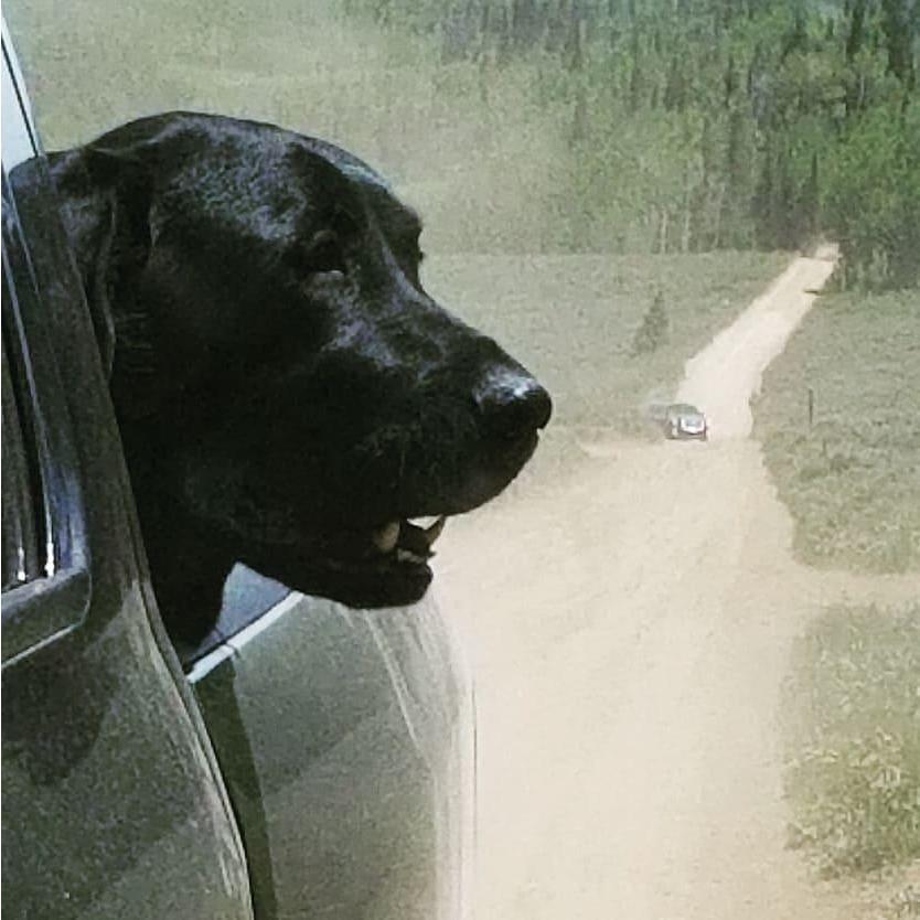 in the mountains with Coal