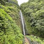 Manoa Falls Trail