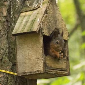 Help us build our cozy burrow!