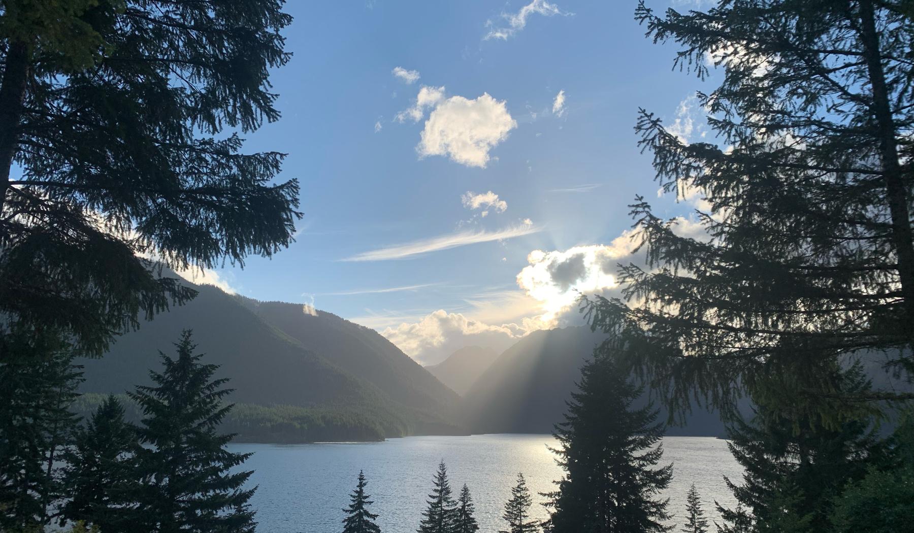 The Wedding Website of Surreal Charnell and Benjamin Finch