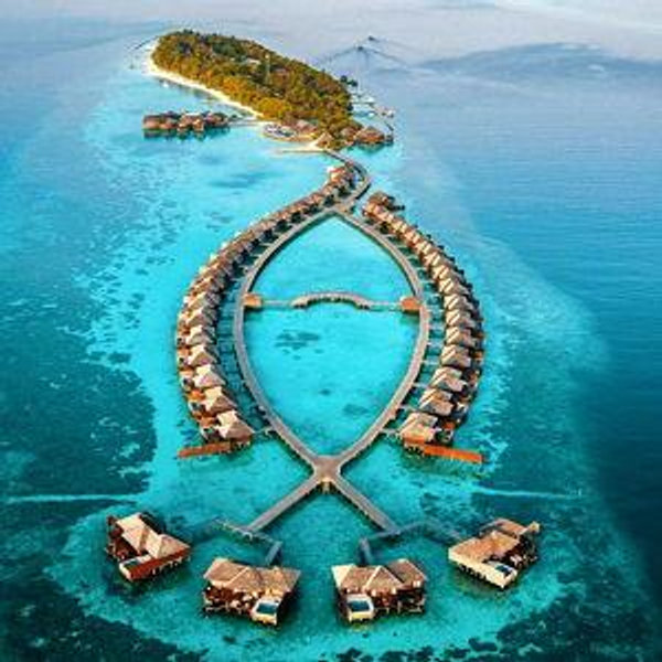 Honeymoon Fund