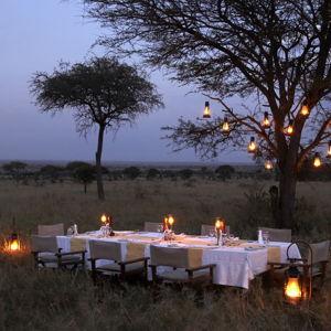Luxury Bush Dinner Under the Stars