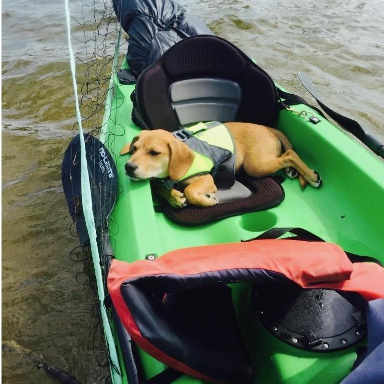 Made it to the other side - thankfully for his life jacket on. He jumped out of the kayak not understanding the water wasn't the ground.