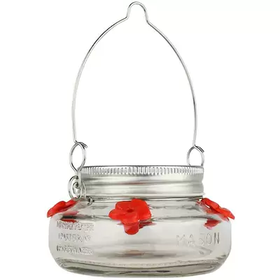 Wild Wings Clear Glass Nectar Hummingbird Feeder